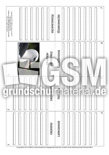 Faltbuch-Albatros.pdf
